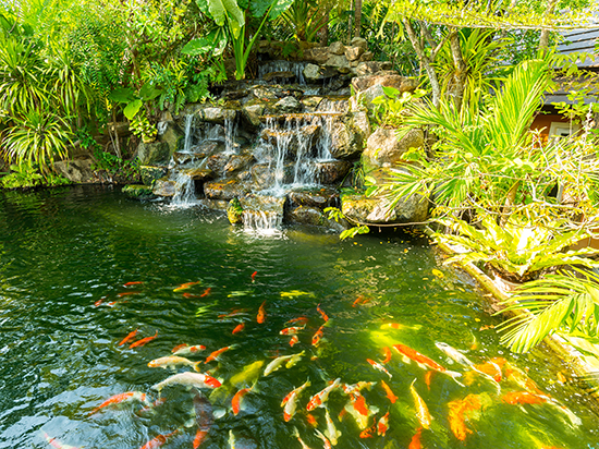 1604401822861865.jpg 00.jpg