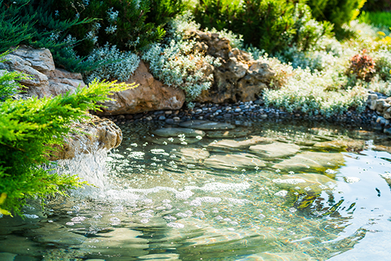 1604483680795810.jpg 03.jpg